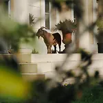 Holiday home La Closerie Des Vignes - Chatonnet Vineyards
