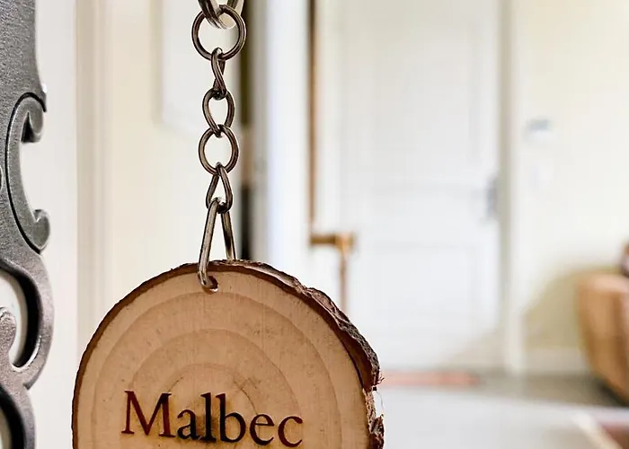 La Closerie Des Vignes - Chatonnet Vineyards Vakantiehuis Néac